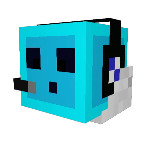 RackBCC Minecraft avatar head, 3D render