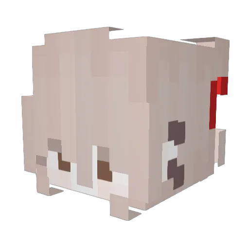 Racki187 Minecraft avatar head, 3D render