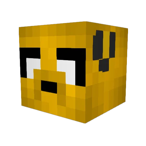 Rackoy Minecraft avatar head, 3D render