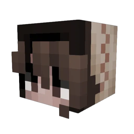 Rackune Minecraft avatar head, 3D render