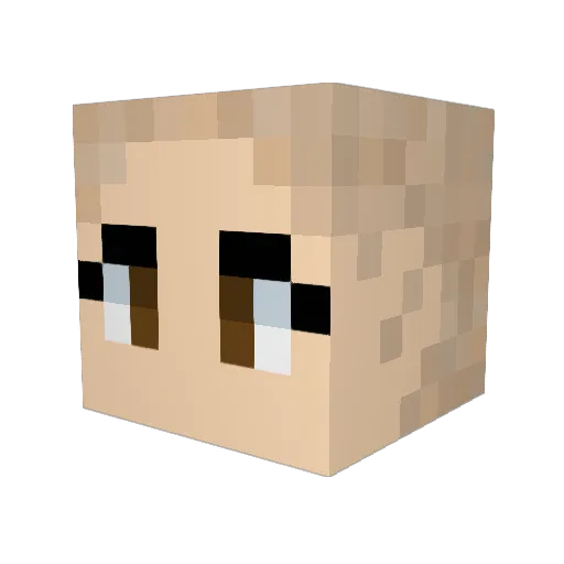 Racocora Minecraft avatar head, 3D render