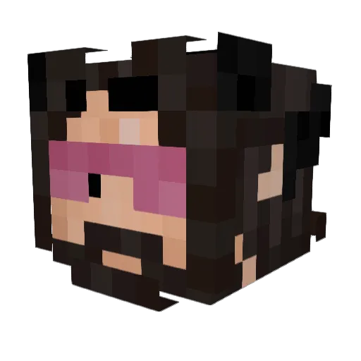 Racon445 Minecraft avatar head, 3D render