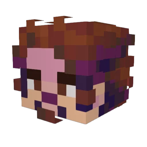 Racongame Minecraft avatar head, 3D render