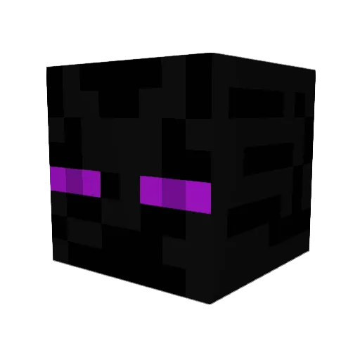 Racoon1906 Minecraft avatar head, 3D render