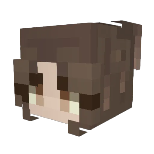 RacoonGirlie Minecraft avatar head, 3D render