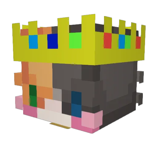 Racoon_Prime Minecraft avatar head, 3D render