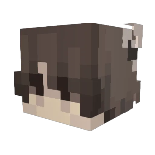 Racoonigain Minecraft avatar head, 3D render