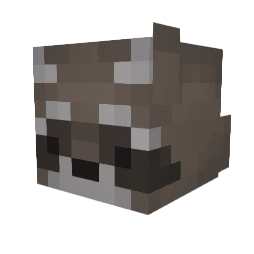 Racoonis Minecraft avatar head, 3D render