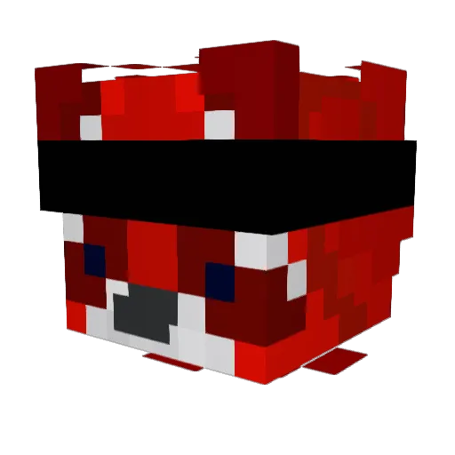 RacoonracsO Minecraft avatar head, 3D render