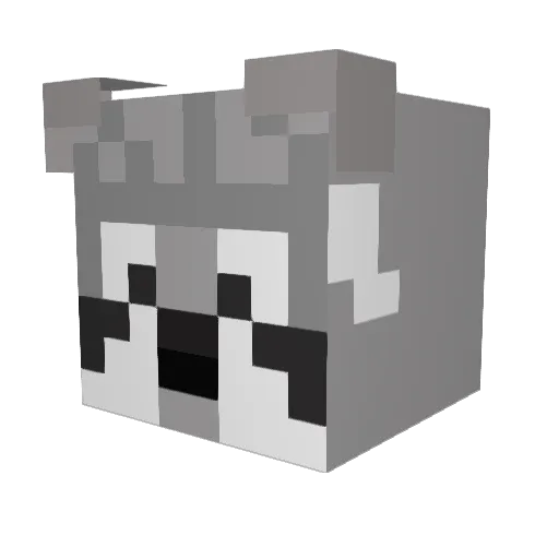Racoony_Racer Minecraft avatar head, 3D render