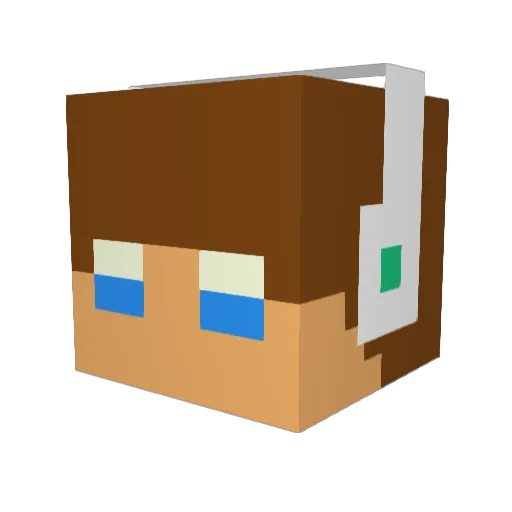 Racoonyx Minecraft avatar head, 3D render