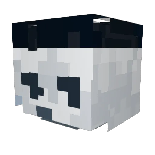 RacooonLeya Minecraft avatar head, 3D render