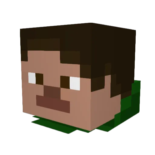 Ractor14 Minecraft avatar head, 3D render