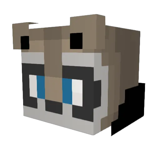 Racuni Minecraft avatar head, 3D render