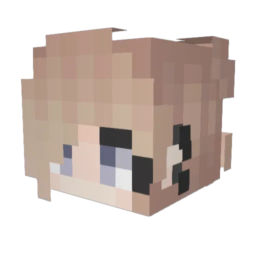 Rad2Bone Minecraft avatar head, 3D render