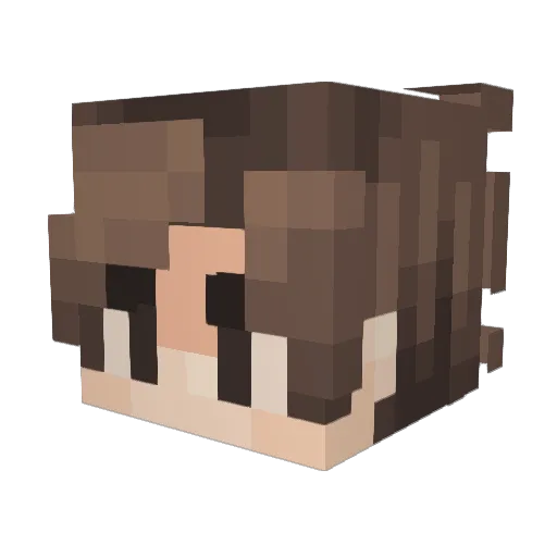 RadAPS7020 Minecraft avatar head, 3D render