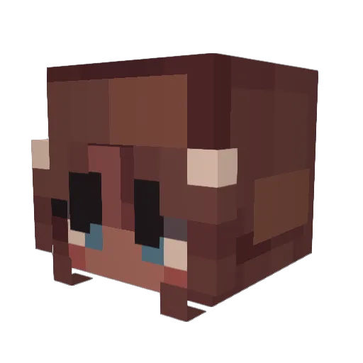 RadBrad2008 Minecraft avatar head, 3D render