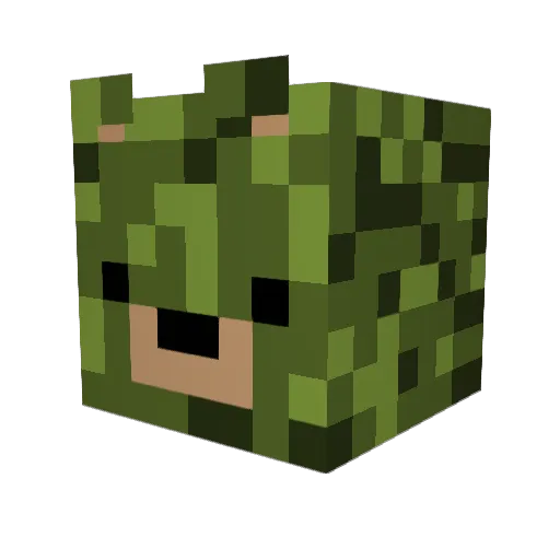 RadGuyTom Minecraft avatar head, 3D render