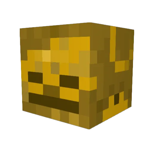 RadHat123 Minecraft avatar head, 3D render