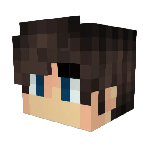 RadRiver1 Minecraft avatar head, 3D render