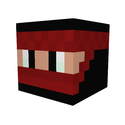 RadairGaming Minecraft avatar head, 3D render