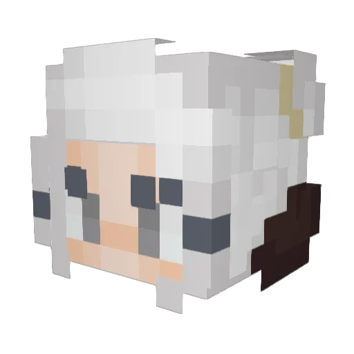 Radami96 Minecraft avatar head, 3D render