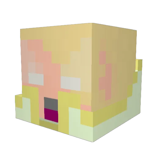 Radanis Minecraft avatar head, 3D render