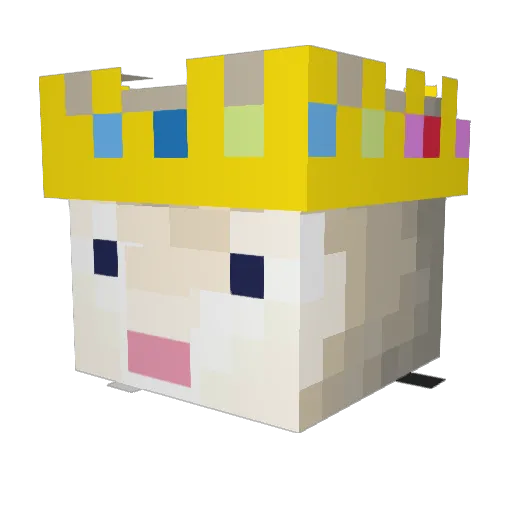 RadarThePossum Minecraft avatar head, 3D render