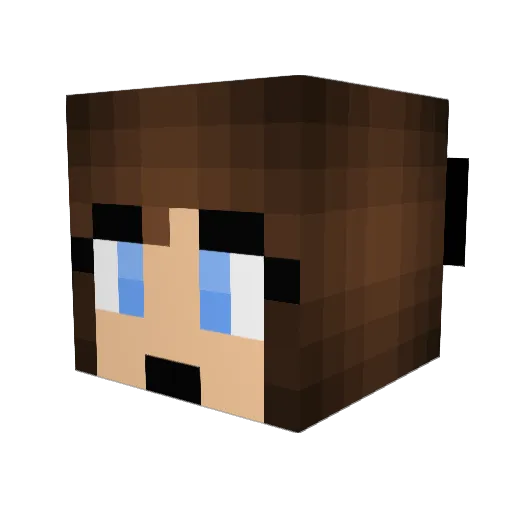 RadasNoir Minecraft avatar head, 3D render