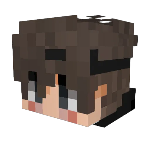 Raddie98 Minecraft avatar head, 3D render