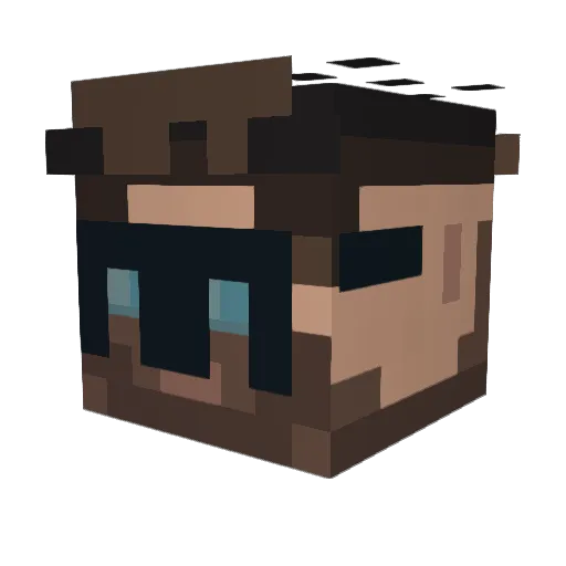 Raddis88 Minecraft avatar head, 3D render