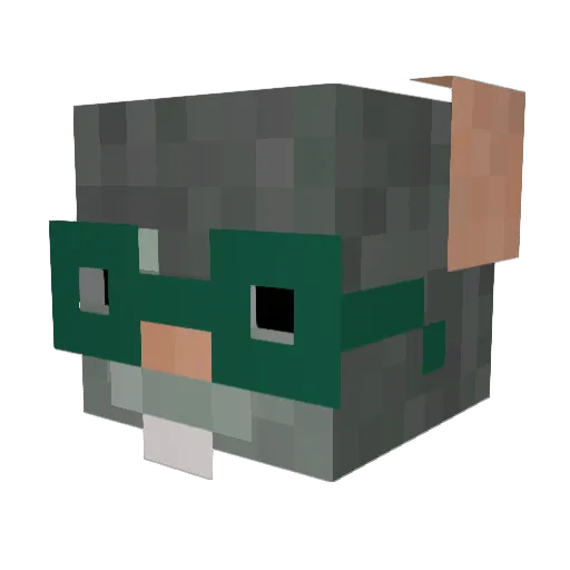 Raddnkopf Minecraft avatar head, 3D render