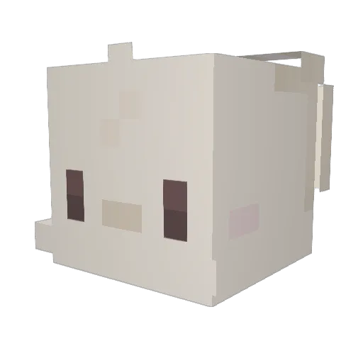 Raddykins Minecraft avatar head, 3D render