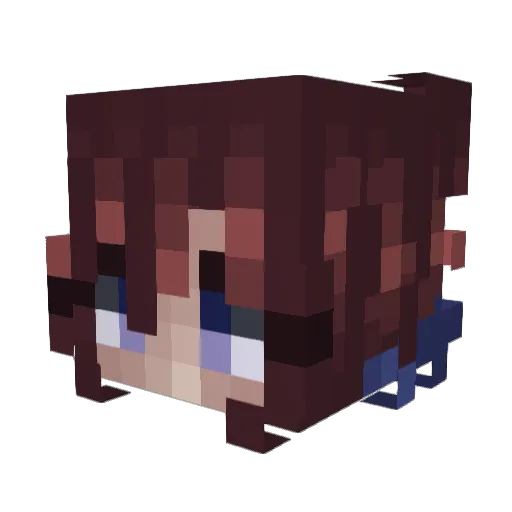 Radek3991 Minecraft avatar head, 3D render