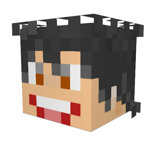 Radek_1 Minecraft avatar head, 3D render