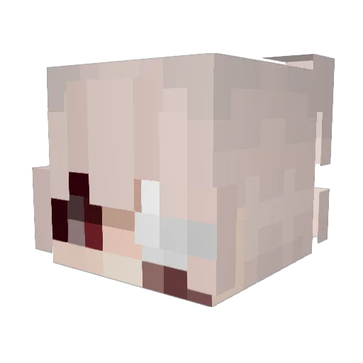 RadeonX3D Minecraft avatar head, 3D render