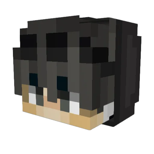 Radfes Minecraft avatar head, 3D render