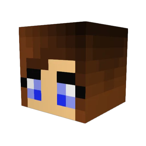 Radford714 Minecraft avatar head, 3D render