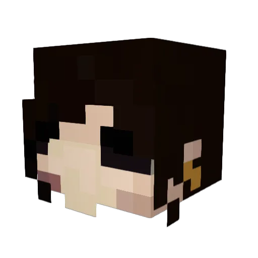 Radi0Chatter Minecraft avatar head, 3D render