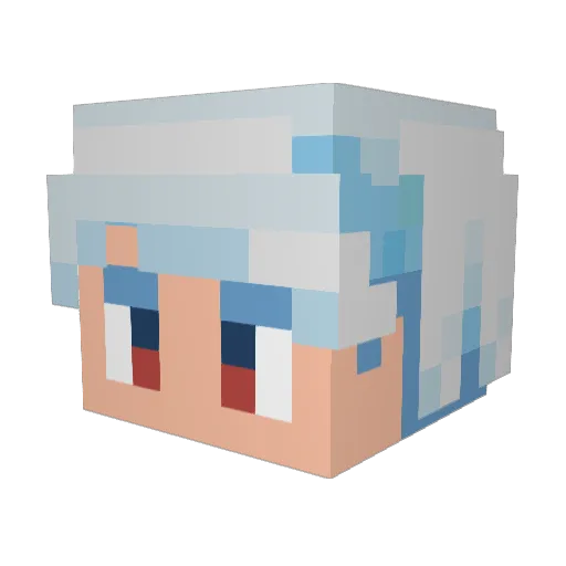 Radi_s Minecraft avatar head, 3D render