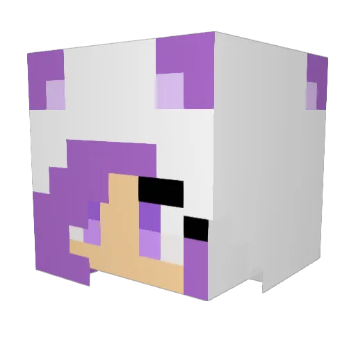 Radiant_clapper Minecraft avatar head, 3D render