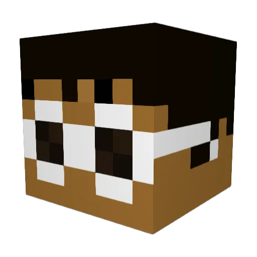 RadiantsMom Minecraft avatar head, 3D render