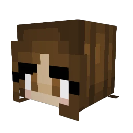 RadiateBliss Minecraft avatar head, 3D render