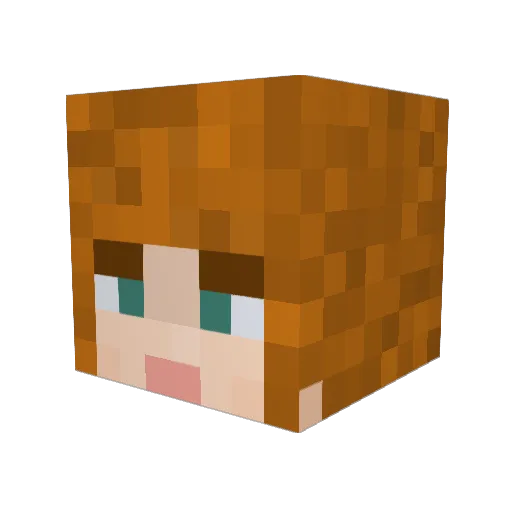 RadiatorElevator Minecraft avatar head, 3D render