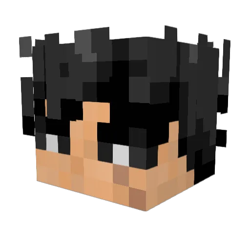 Radical0 Minecraft avatar head, 3D render
