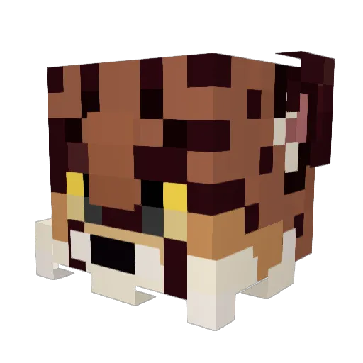 Radical46 Minecraft avatar head, 3D render