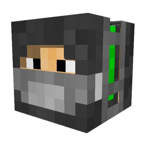 RadicalRadish Minecraft avatar head, 3D render
