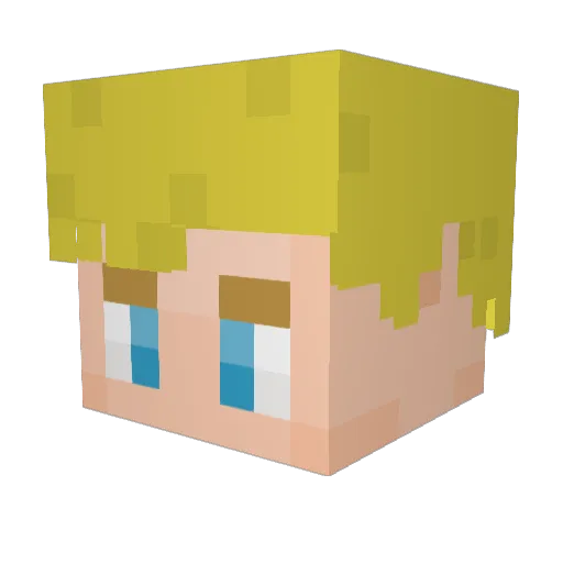RadicalRadney Minecraft avatar head, 3D render