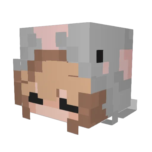RadicalRatz Minecraft avatar head, 3D render