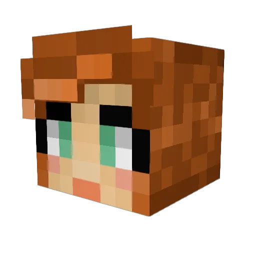 RadicalSini Minecraft avatar head, 3D render